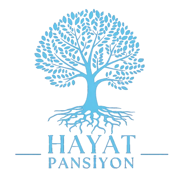 Hayat Pansiyon logo